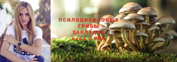 эйфоретик Алексин