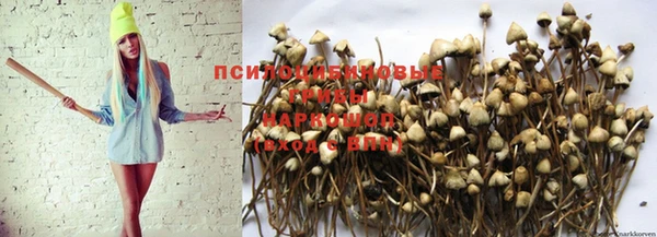кокаин VHQ Алексеевка