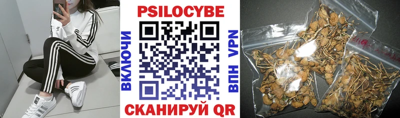 Галлюциногенные грибы мухоморы  Новокубанск 
